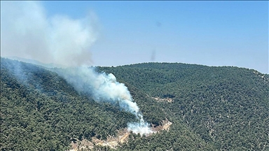 Manisa'da çıkan orman yangını kontrol altına alındı