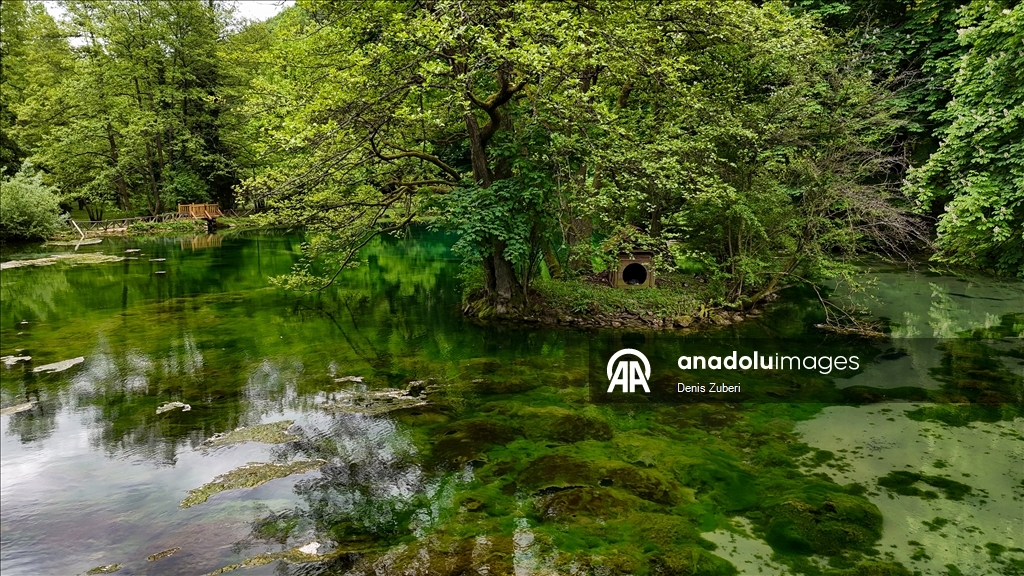 Spomenik prirode Vrelo Bosne: Prirodni biser u Sarajevu